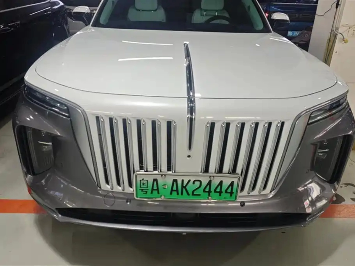 HONGQI E-HS9
