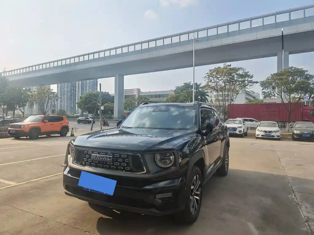 HAVAL DAGOU II