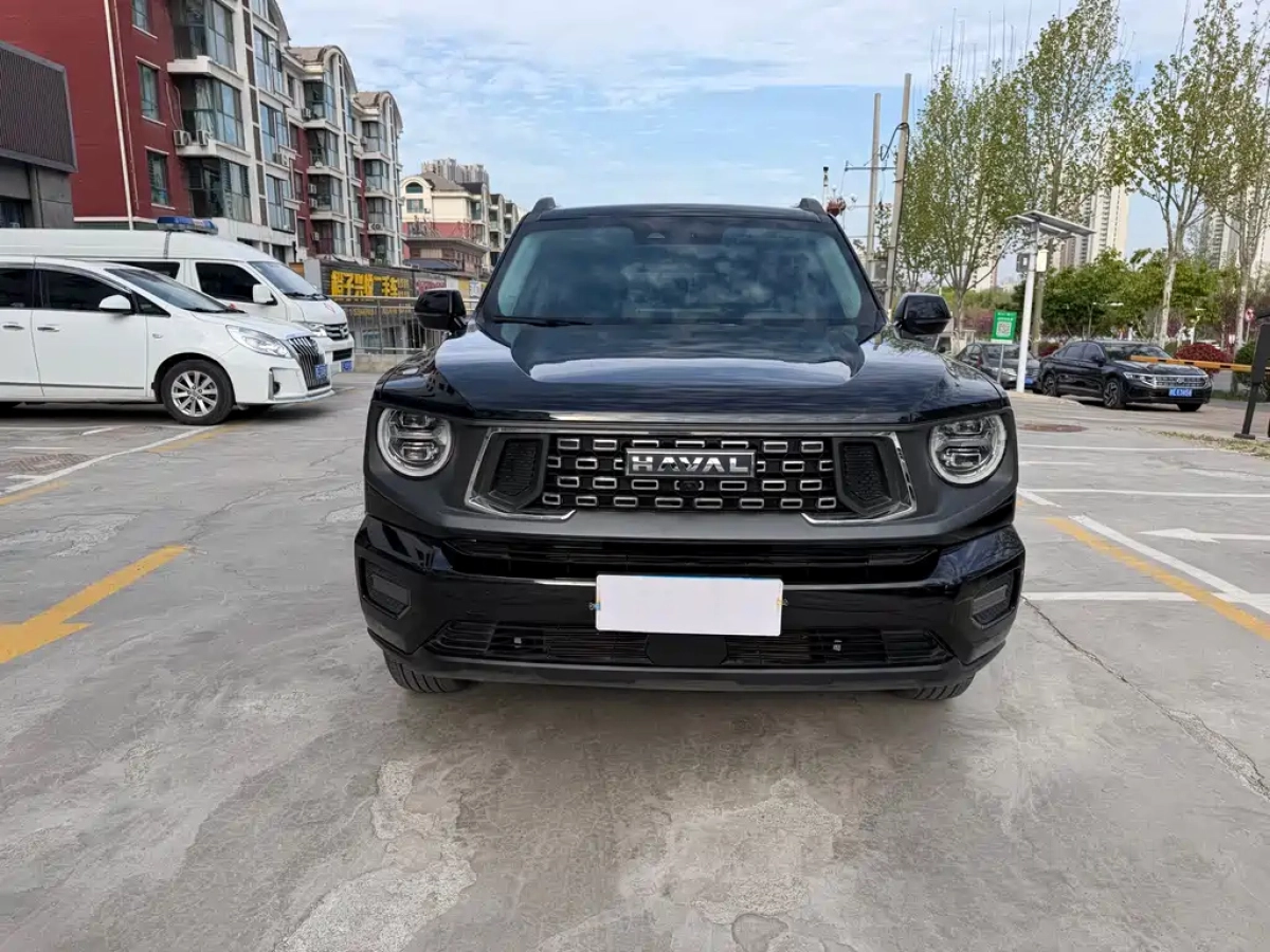 HAVAL DAGOU II
