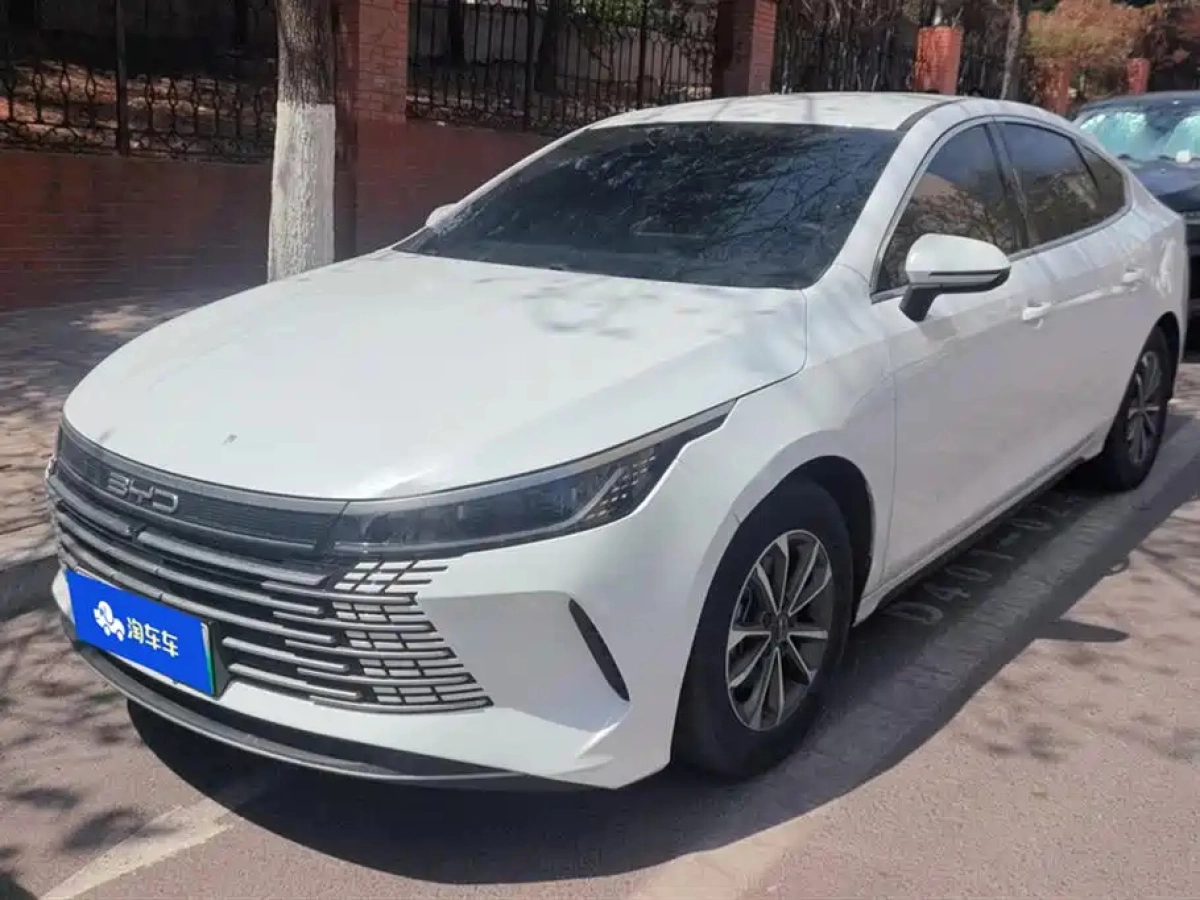 BYD DESTROYER 05  2023