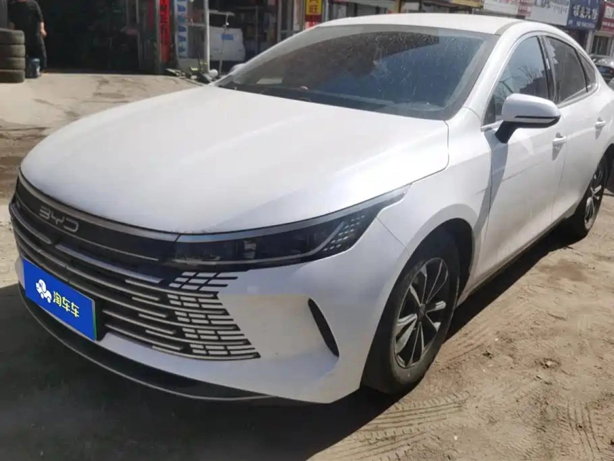 BYD DESTROYER 05  2024