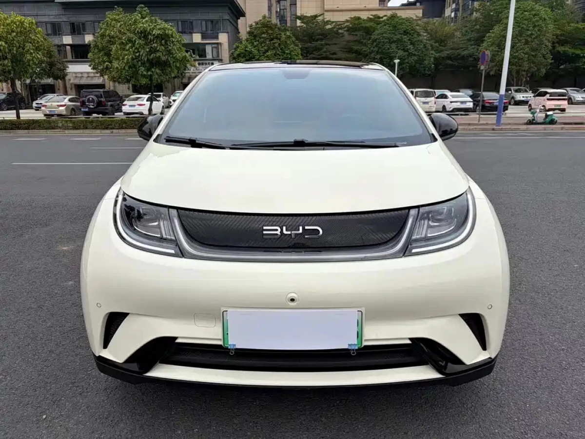 BYD DOLPHIN