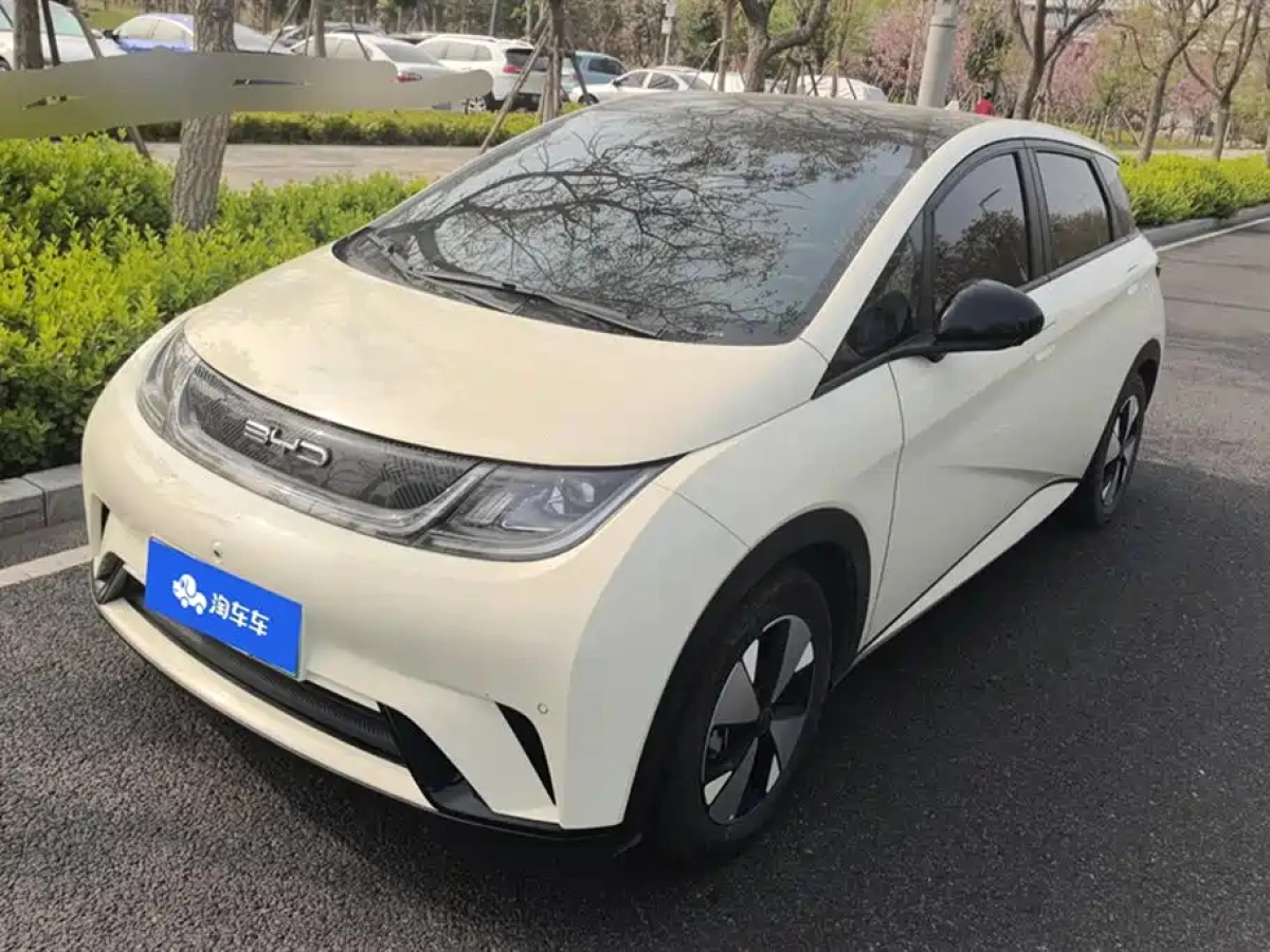 BYD DOLPHIN  2023