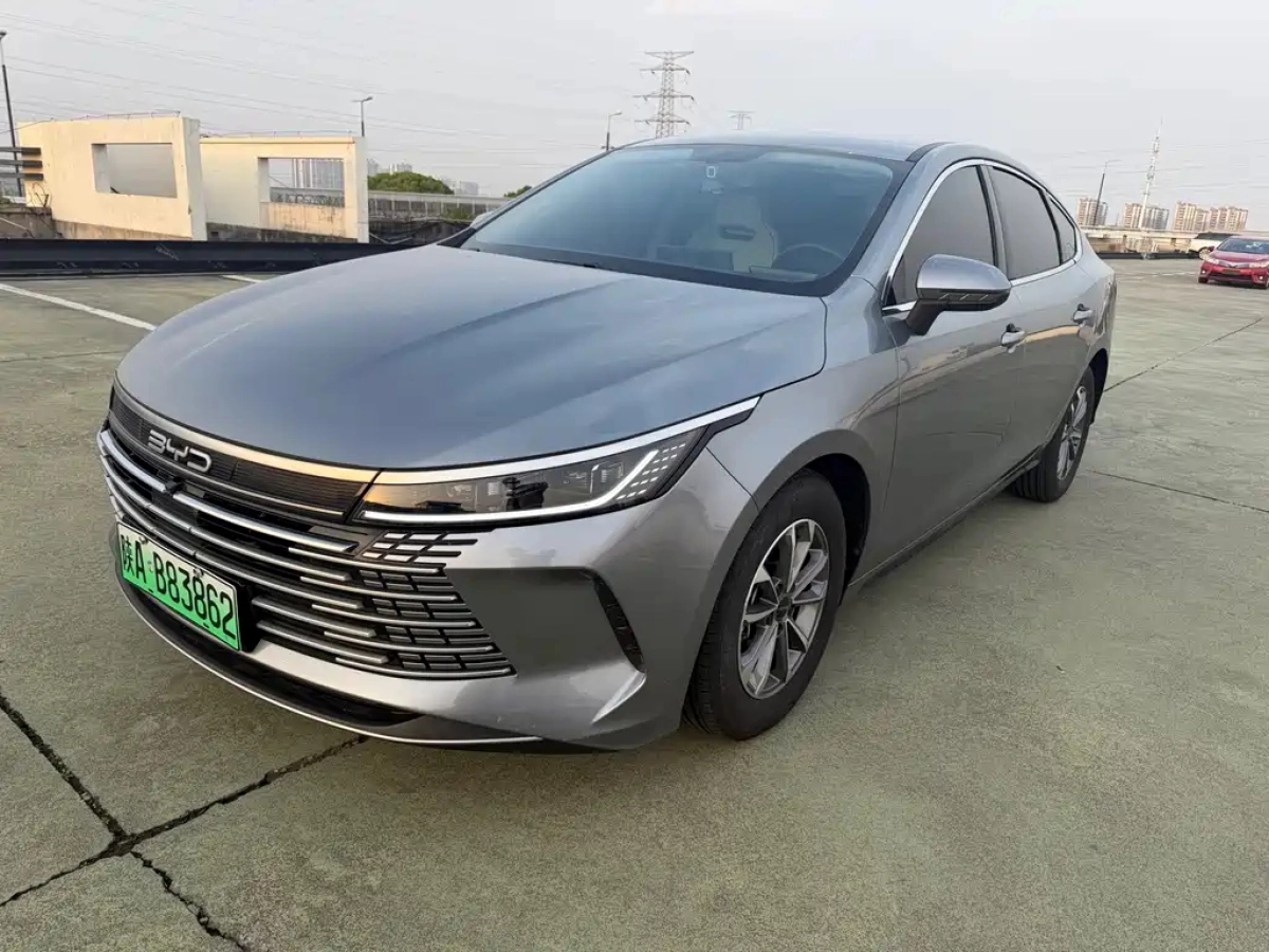 BYD DESTROYER 05  2024