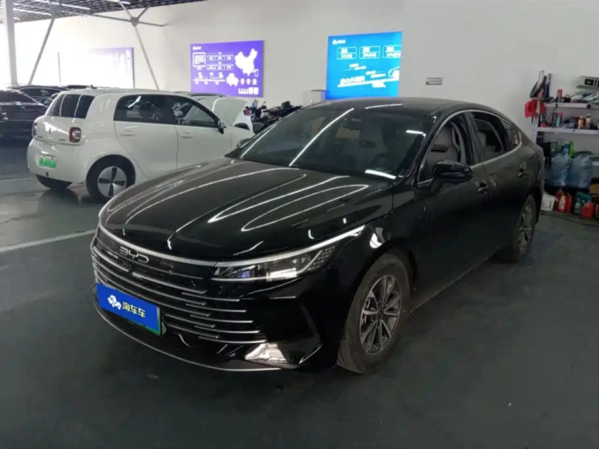 BYD DESTROYER 05  2024