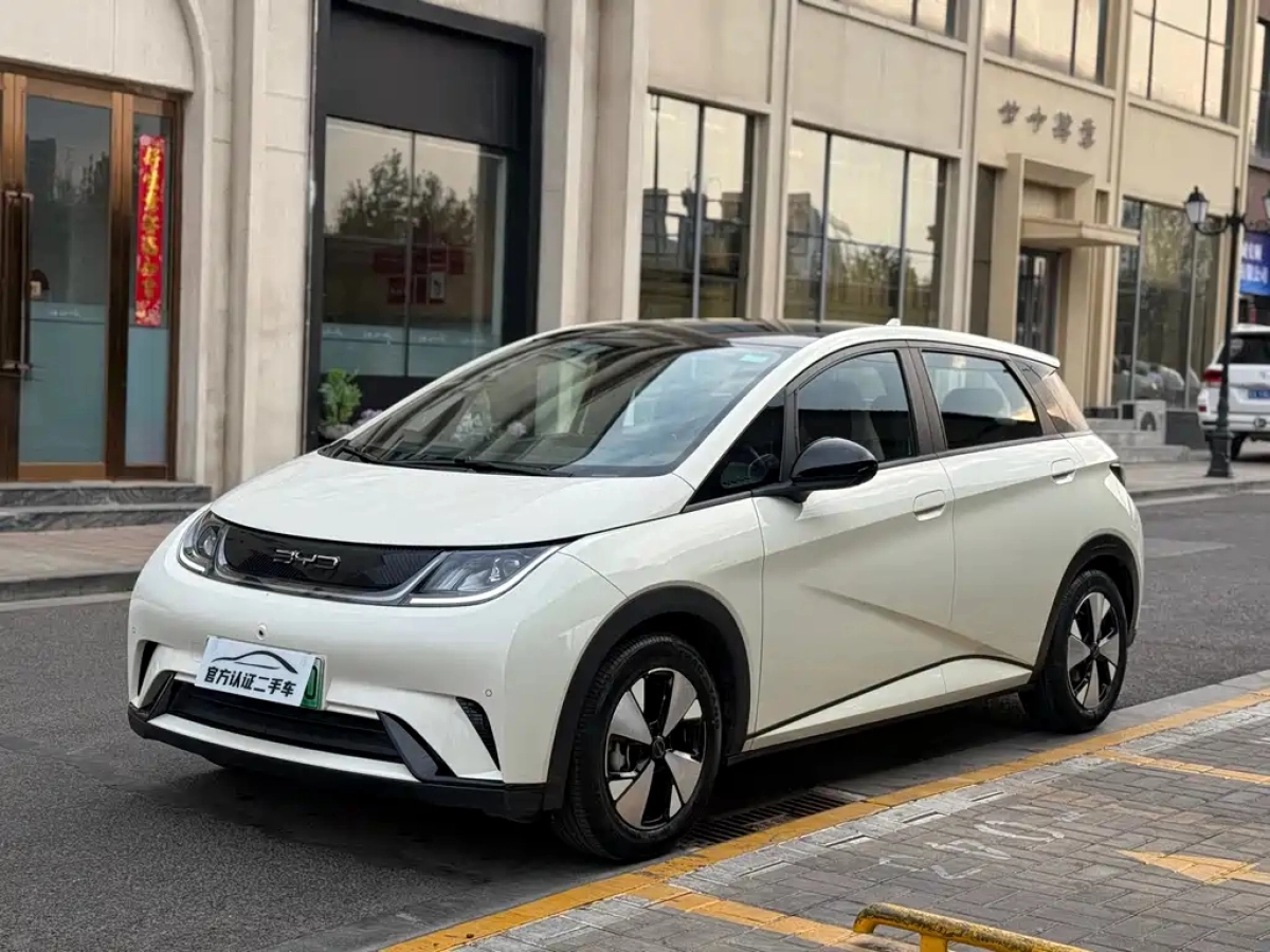 BYD DOLPHIN  2023