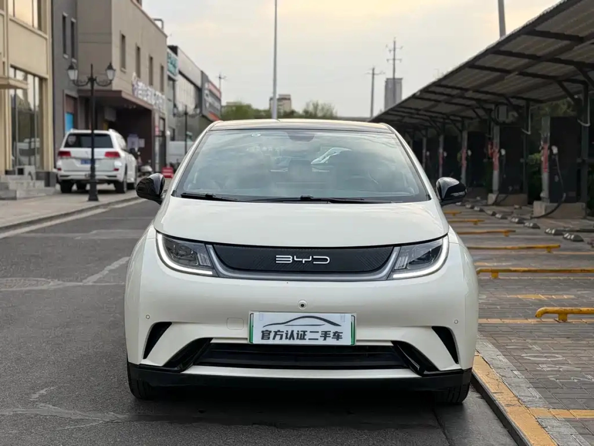BYD DOLPHIN