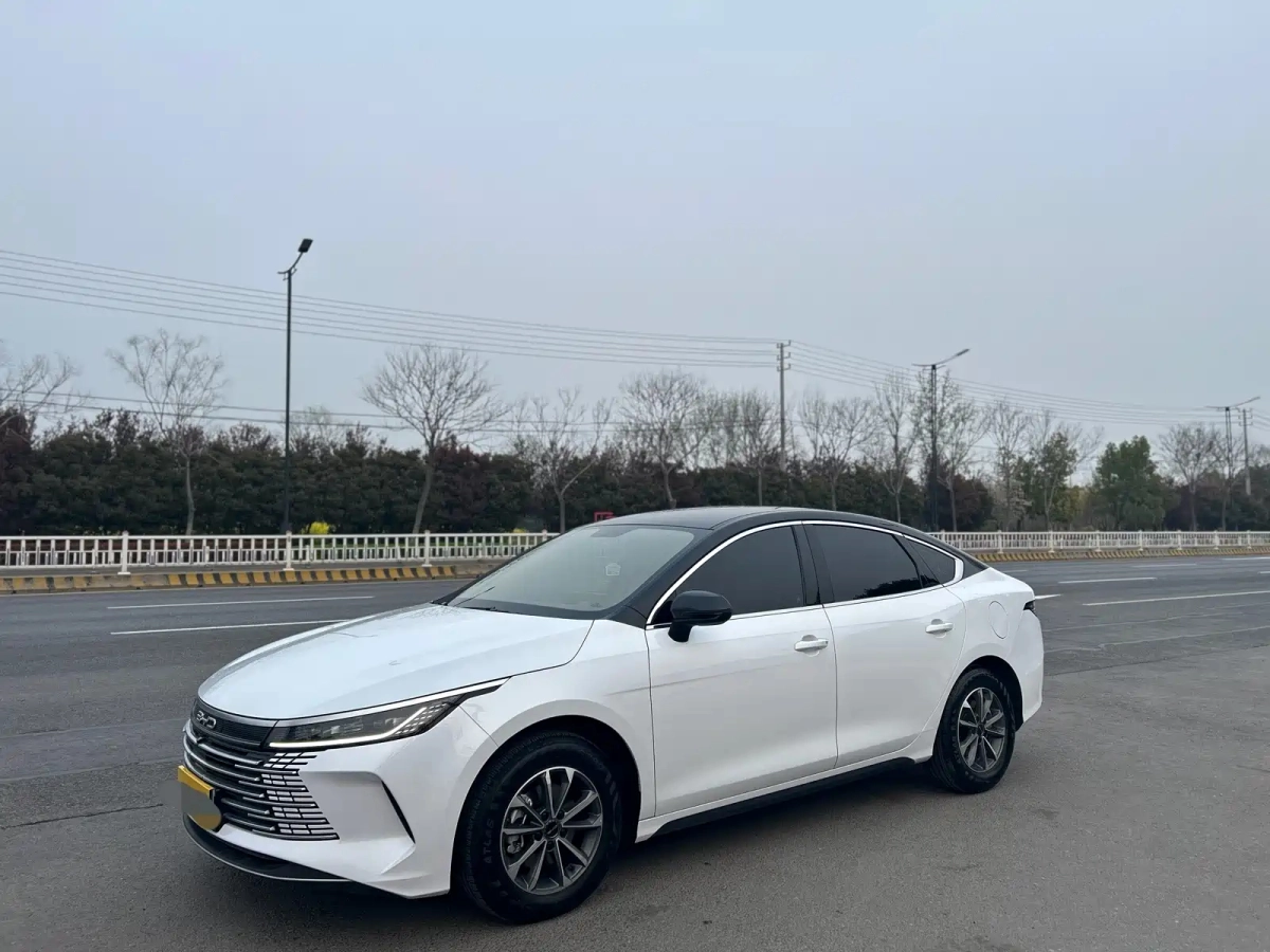 BYD DESTROYER 05  2025