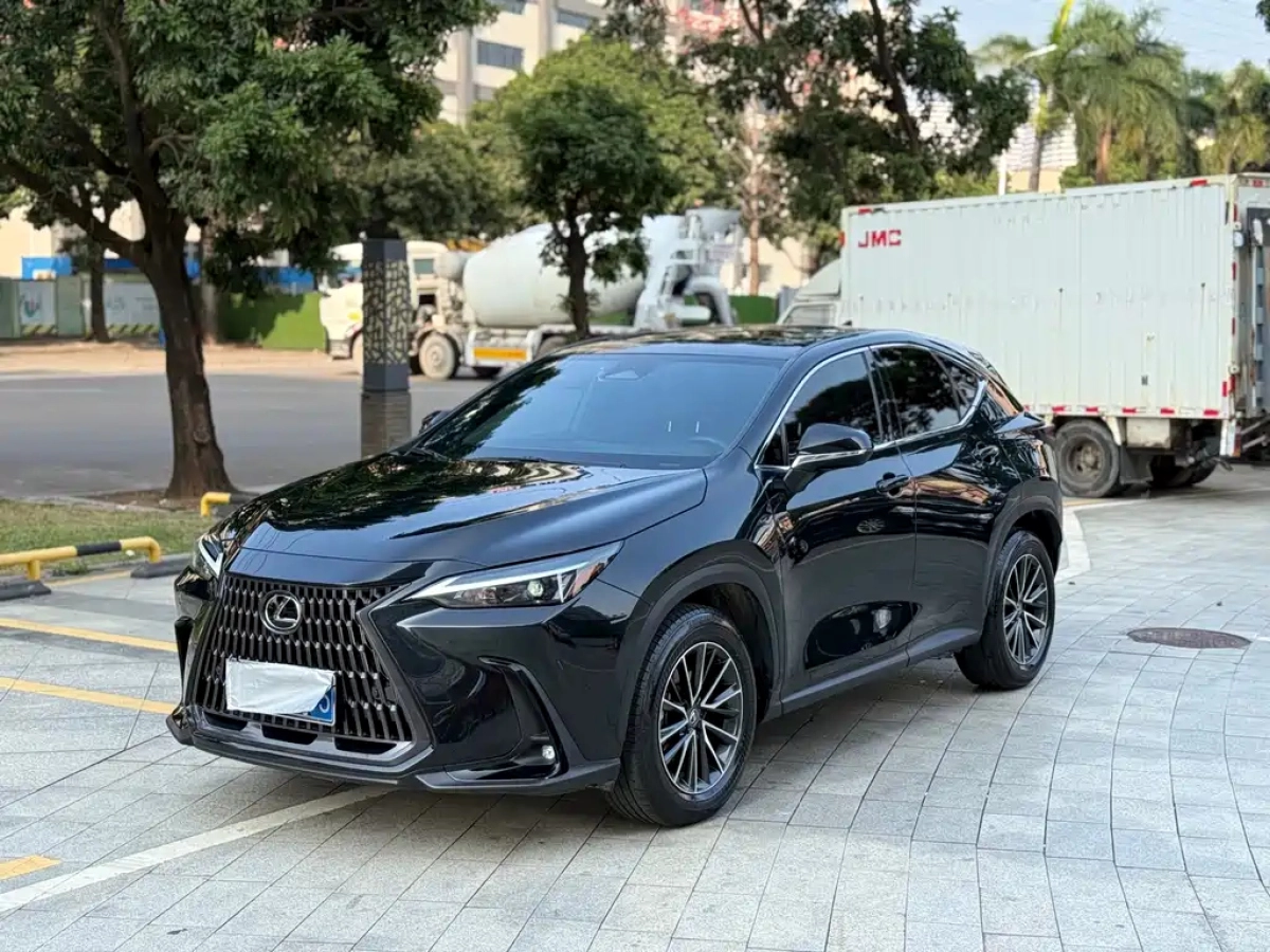LEXUS NX  2024