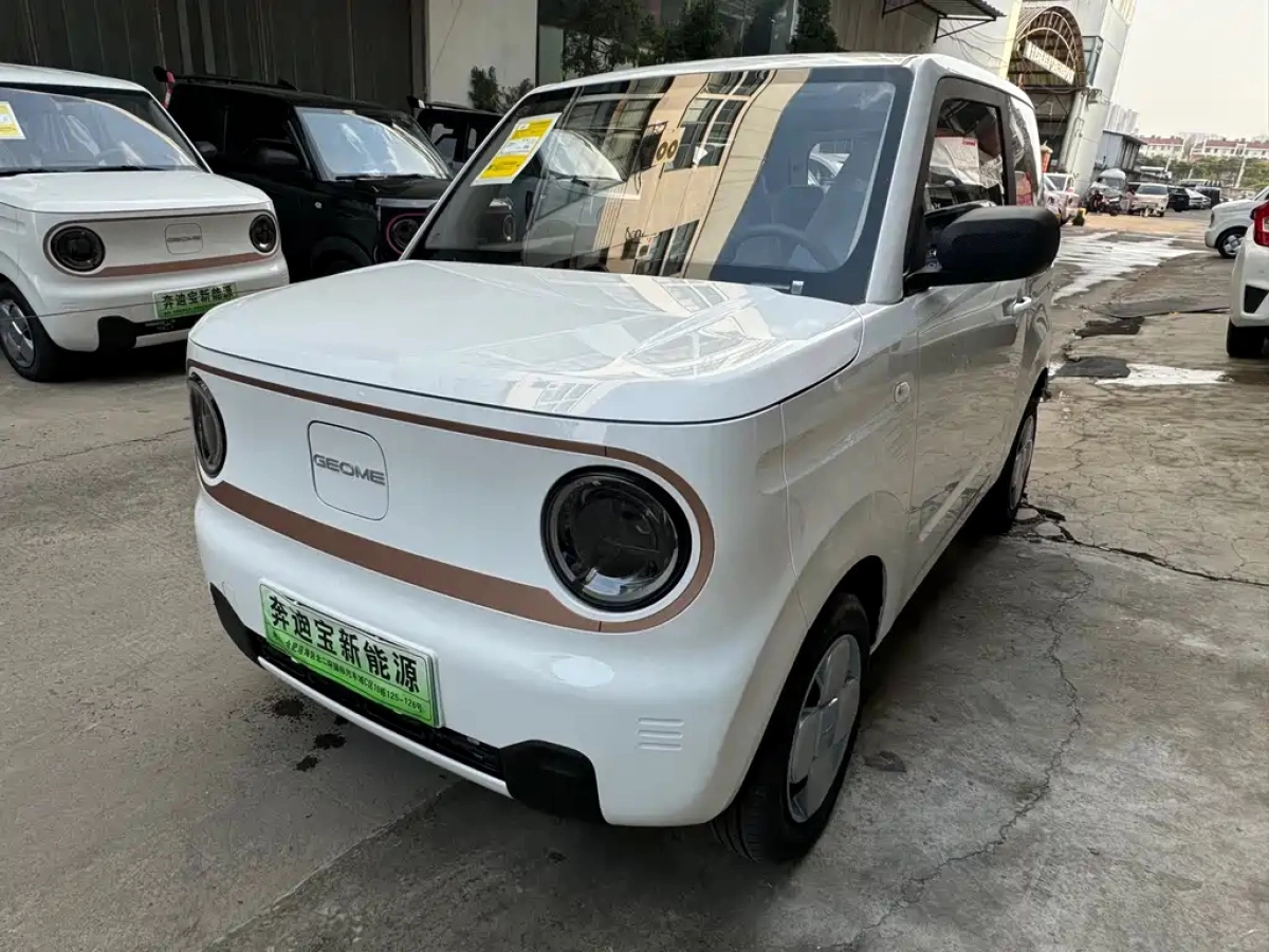 GEELY AUTO PANDA  2026