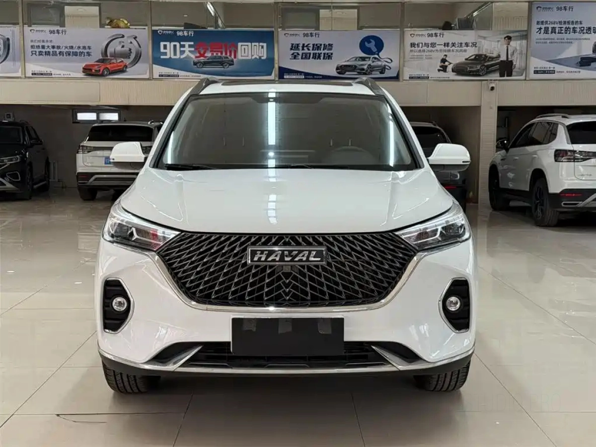 HAVAL M6