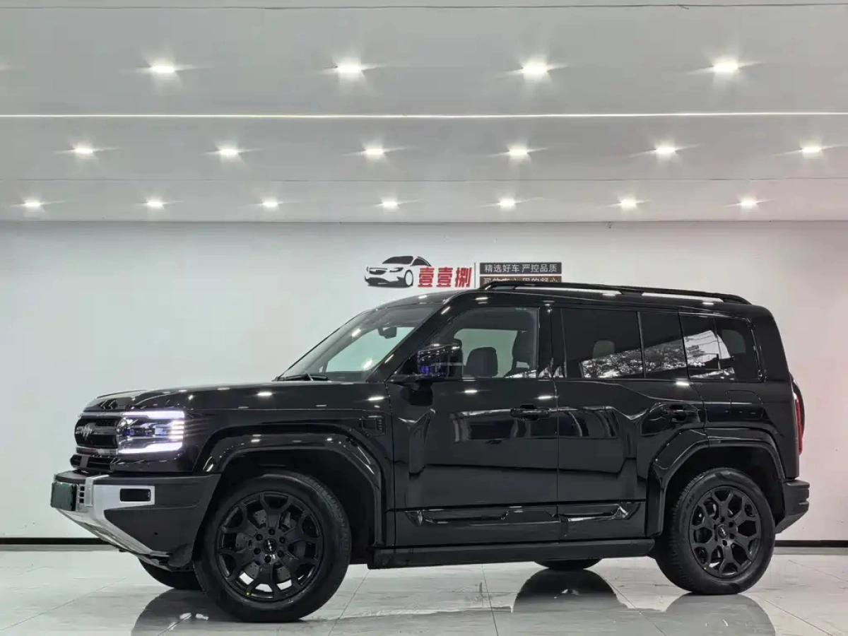 BYD FANGCHENG BAO 5  2024