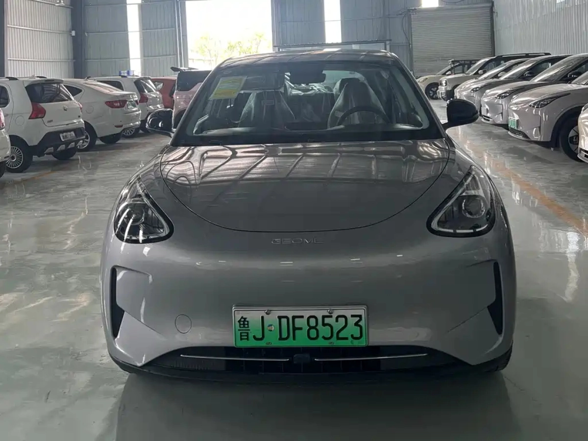 GEELY AUTO XINGYUAN