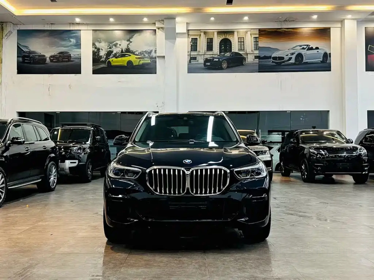BMW X5 IMPORT