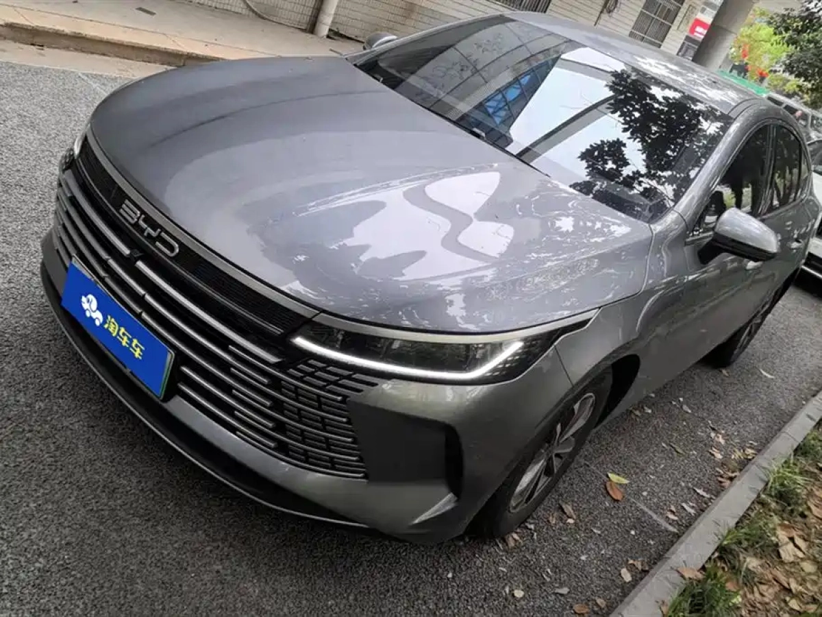 BYD DESTROYER 05  2025