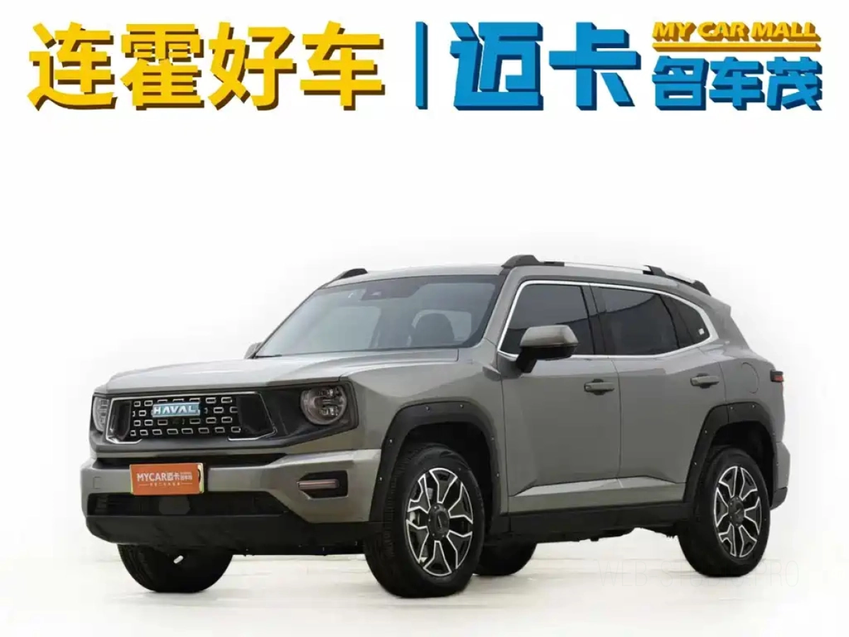 HAVAL DAGOU II NEW ENERGY