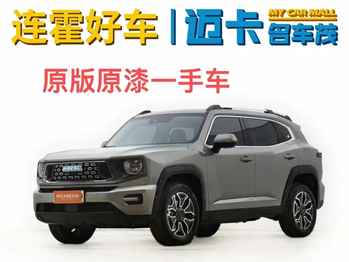 HAVAL DAGOU II NEW ENERGY