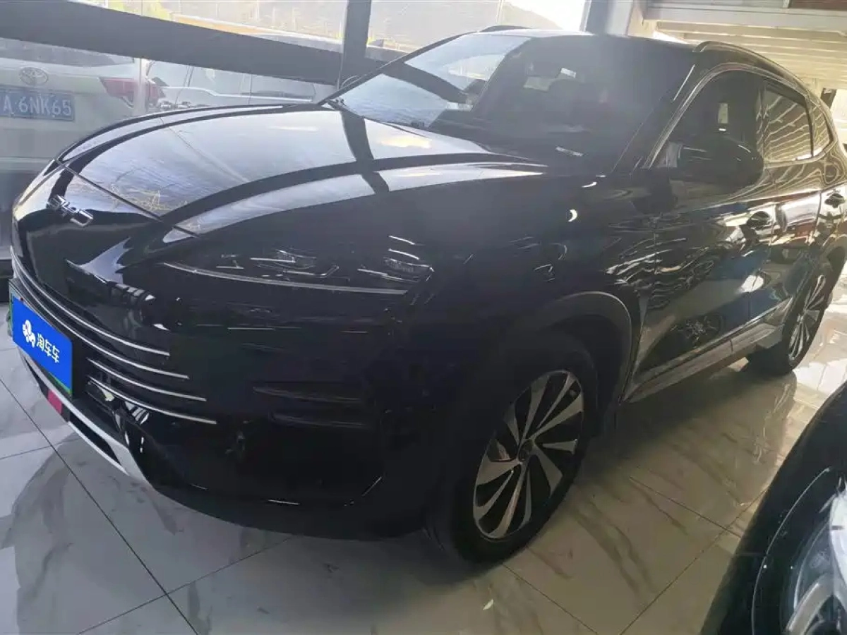 BYD SONG PLUS NEW ENERGY  2024