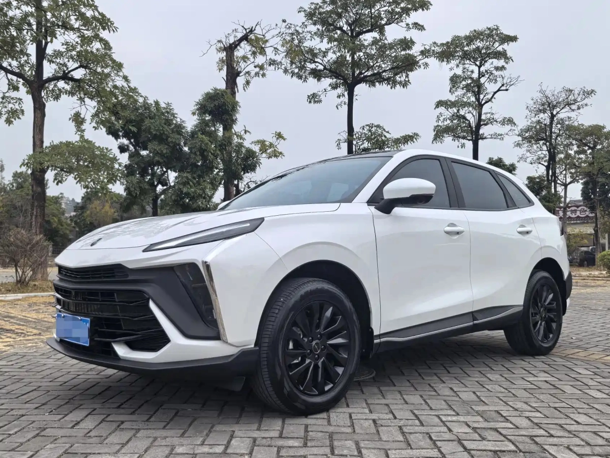 DONGFENG T5 EVO  2024