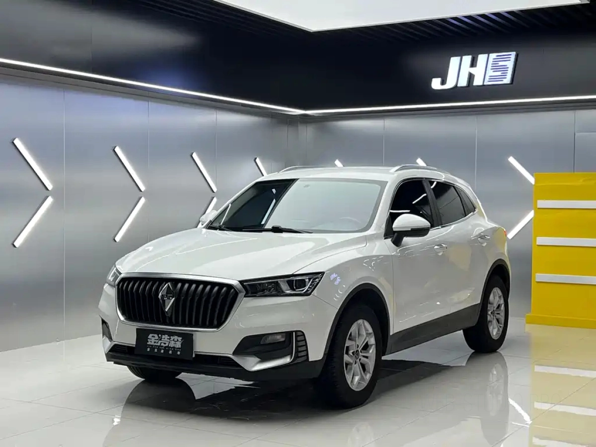 BORGWARD BX5  2019