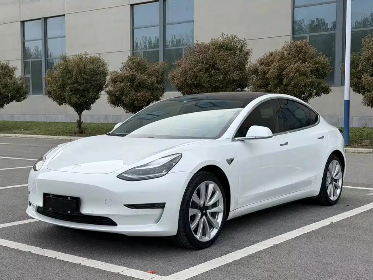 TESLA MODEL 3 IMPORT  2019