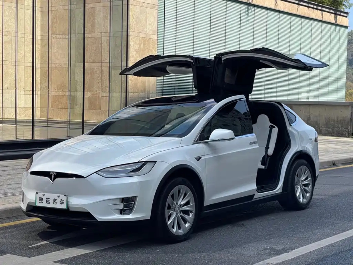 TESLA MODEL X  2020