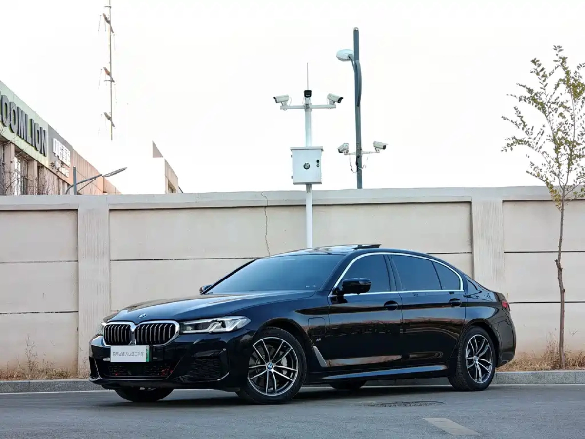 BMW 5 SERIES NEW ENERGY  2021