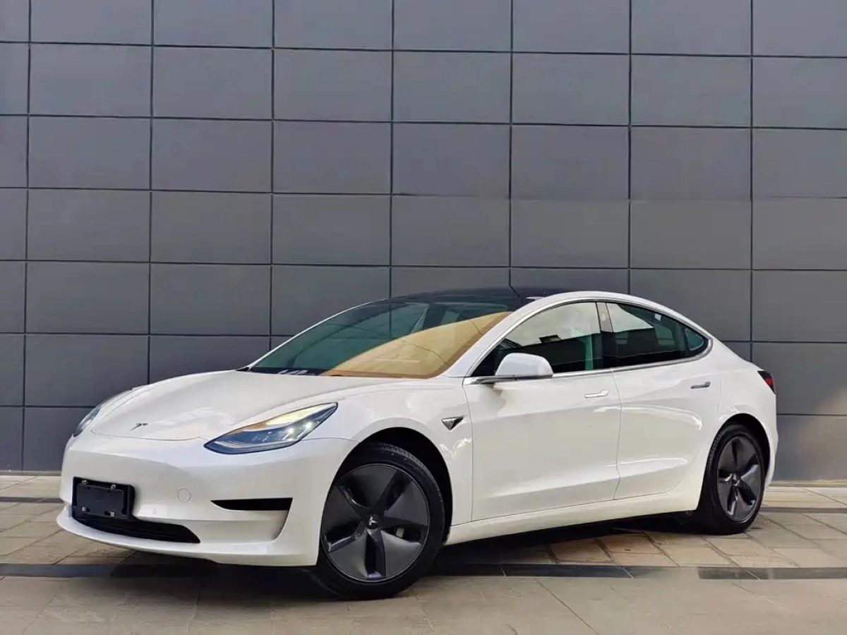 TESLA MODEL 3 IMPORT  2019