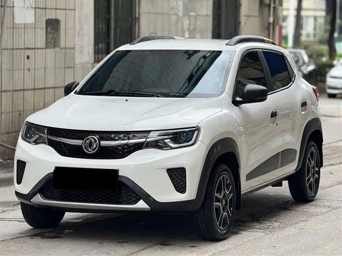 OTHER DONGFENG NAMMI EX1  2022