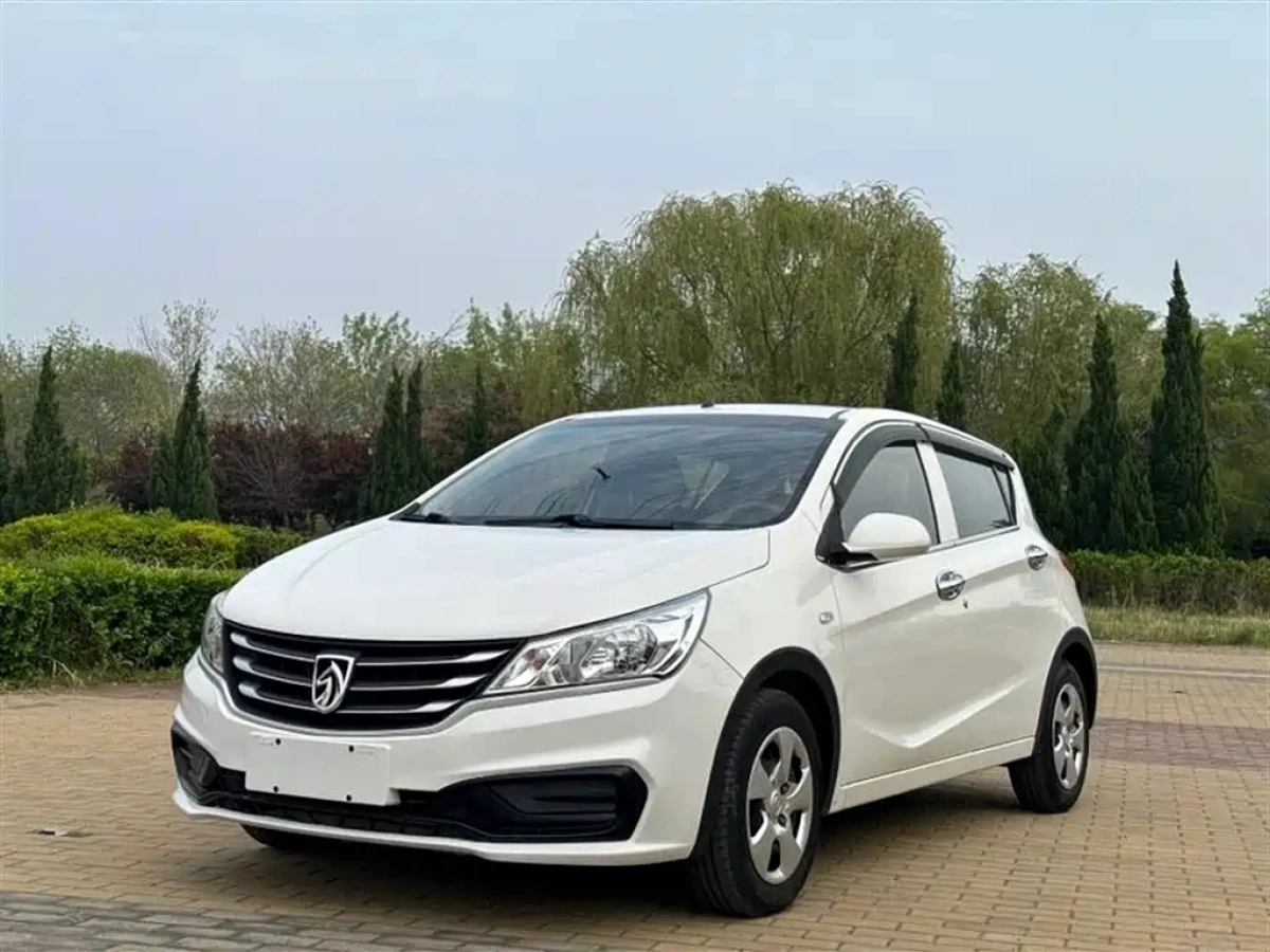 BAOJUN 310  2019