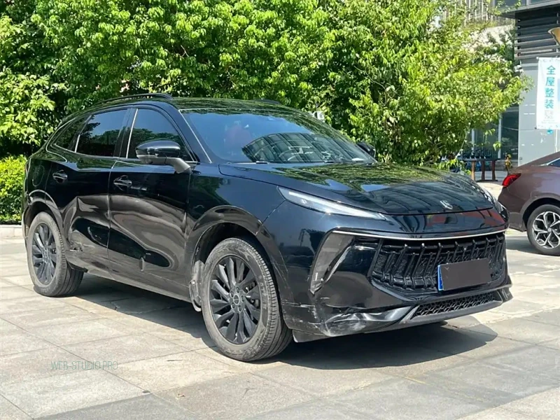 DONGFENG FORTHING T5 EVO