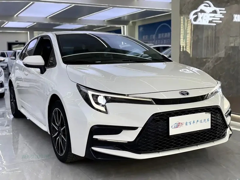 TOYOTA RALINK