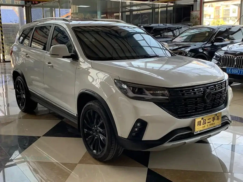 DONGFENG FORTHING T5L