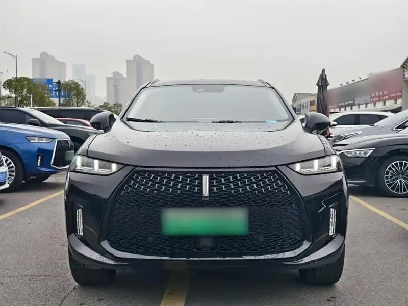 WEY P8