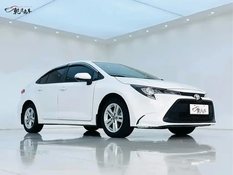 TOYOTA RALINK