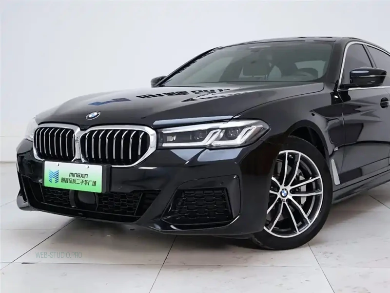 BMW 5-SERIES NEW ENERGY