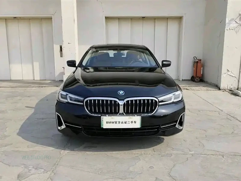 BMW 5-SERIES NEW ENERGY