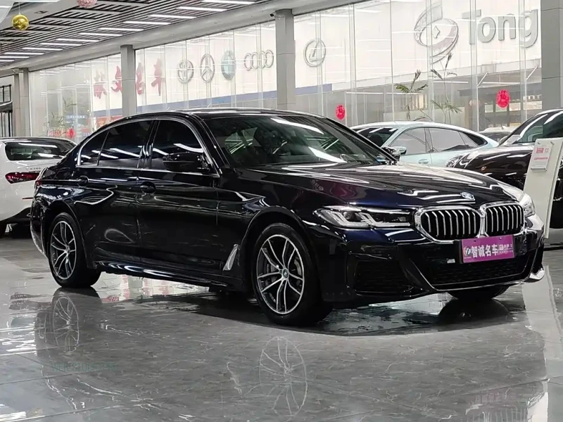 BMW 5-SERIES NEW ENERGY