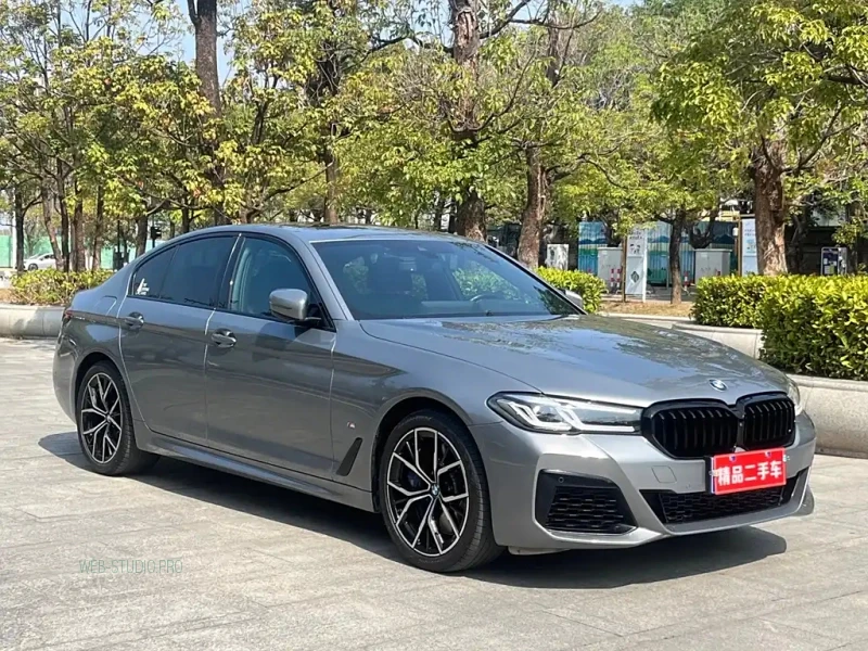 BMW 5-SERIES IMPORT