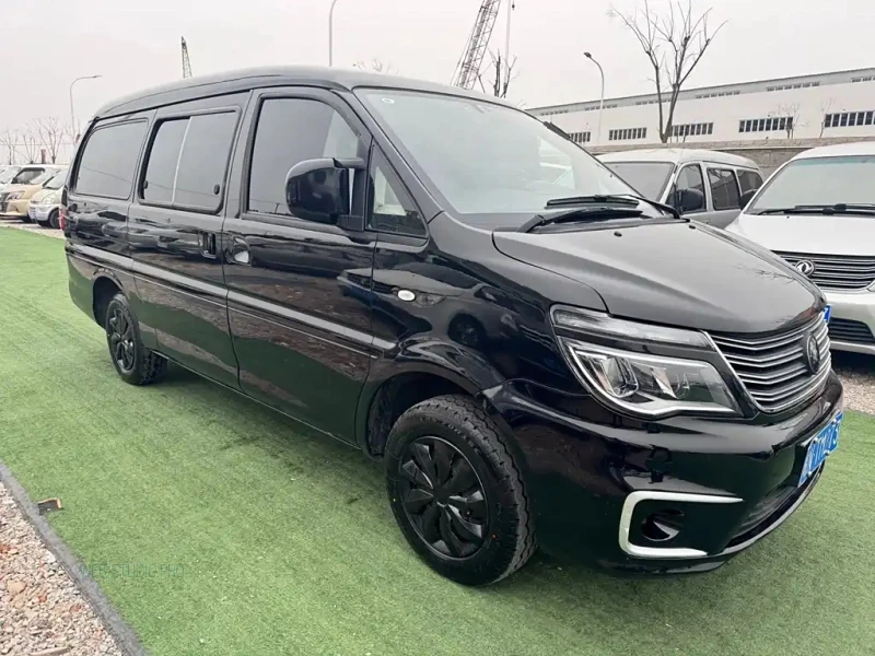 DONGFENG LINGZHI