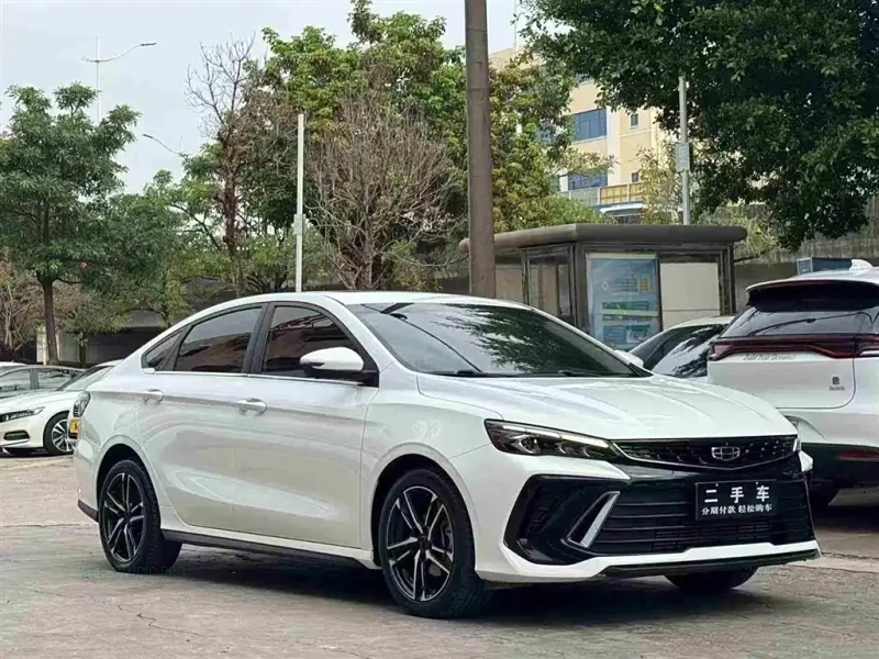GEELY AUTO BINRUI
