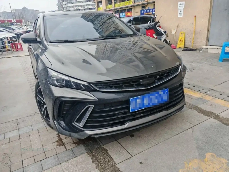 GEELY AUTO BINRUI