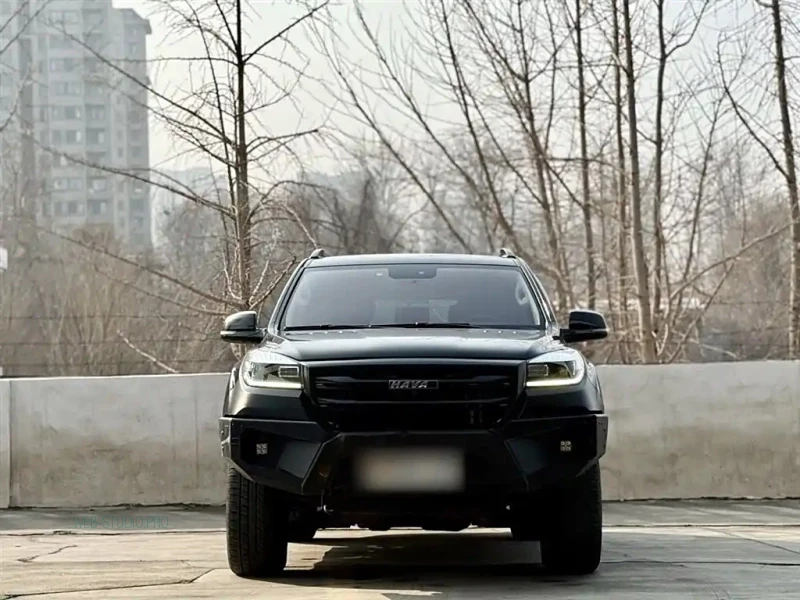 HAVAL H9