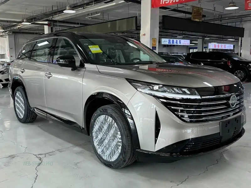 NISSAN OTHER