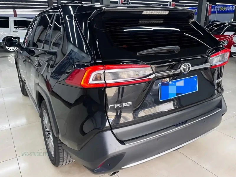TOYOTA WILDLANDER