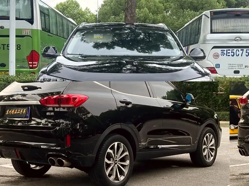WEY VV6
