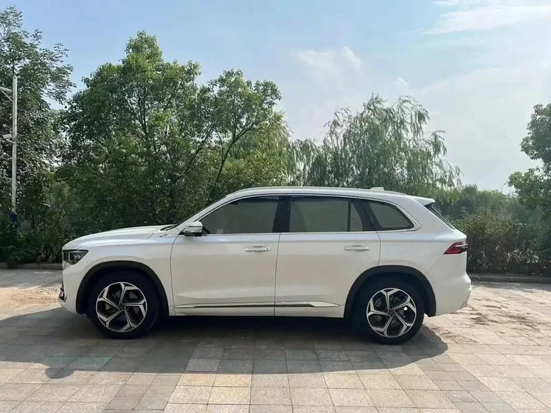 GEELY AUTO MONJARO