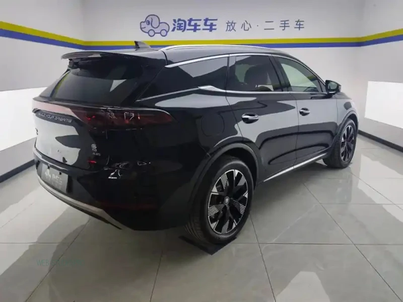 BYD TANG NEW ENERGY