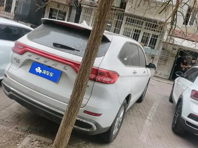 HAVAL M6