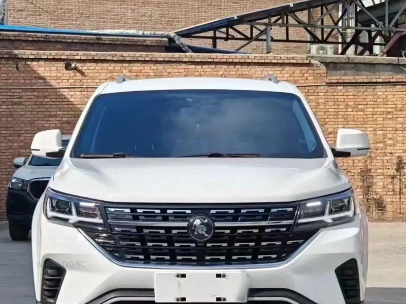 DONGFENG FORTHING T5